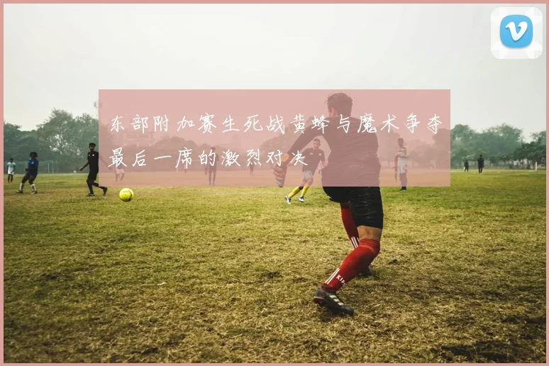 东部附加赛生死战黄蜂与魔术争夺最后一席的激烈对决